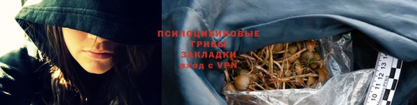 прущие крисы Белокуриха