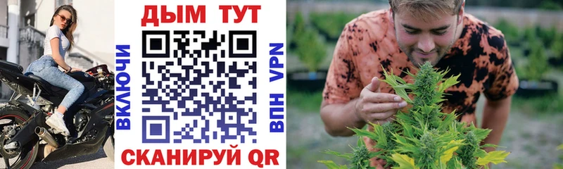 Шишки марихуана OG Kush  Разумное 